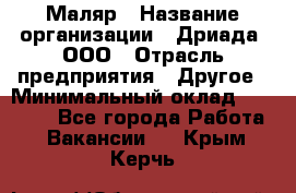 Маляр › Название организации ­ Дриада, ООО › Отрасль предприятия ­ Другое › Минимальный оклад ­ 18 000 - Все города Работа » Вакансии   . Крым,Керчь